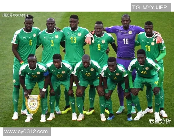 中国与委内瑞拉足球友谊赛精彩直播全程回顾与分析 中国与委内瑞拉足球友谊赛精彩直播全程回顾与分析