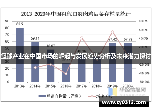 篮球产业在中国市场的崛起与发展趋势分析及未来潜力探讨